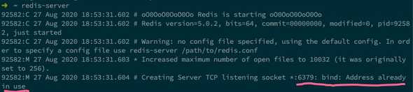 Redis server